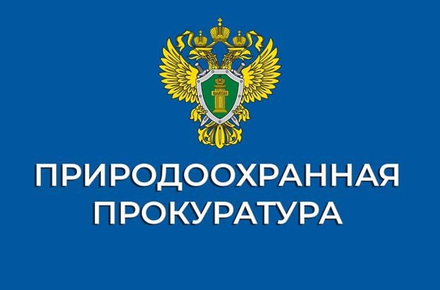 Информация Ивановской межрайонной природоохранной прокуратуры о выявленных нарушениях и принятых мерах.